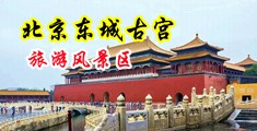 鸡巴插入逼里下载版中国北京-东城古宫旅游风景区